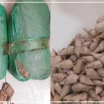 Saisie de plus de trois kilogrammes de chanvre indien à Kaffrine