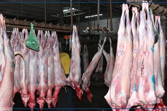 Cherté de l'alimentation du bétail et cheptel insuffisant font flamber les prix de la viande à Dakar