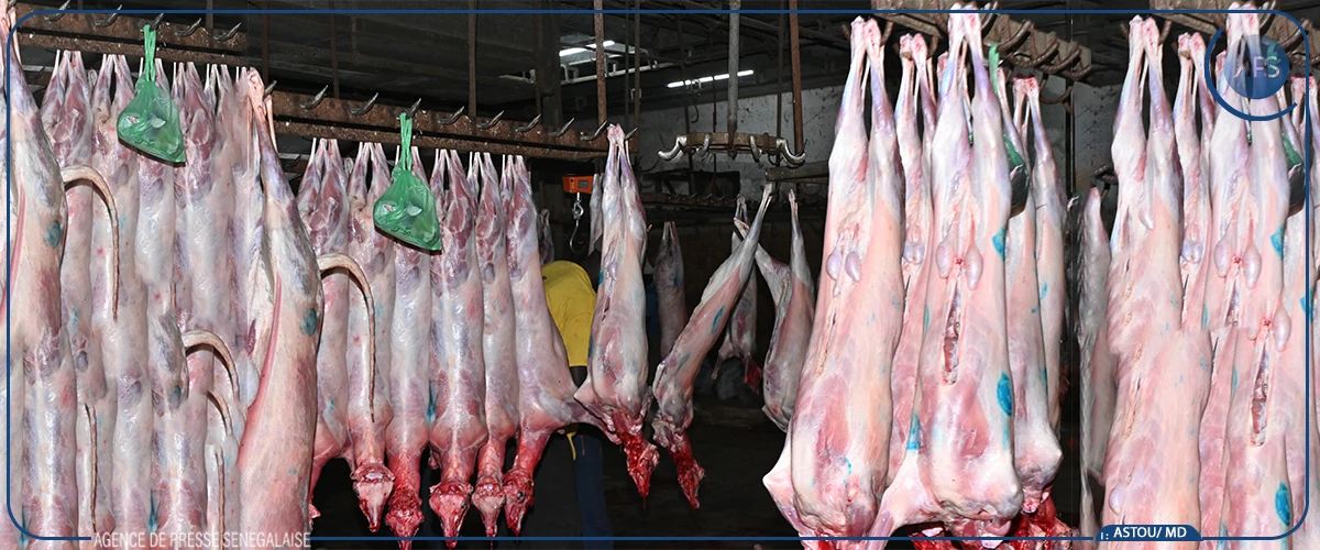 Cherté de l’aliment de bétail et cheptel en nombre insuffisant parmi les causes de la flambée des prix de la viande à Dakar