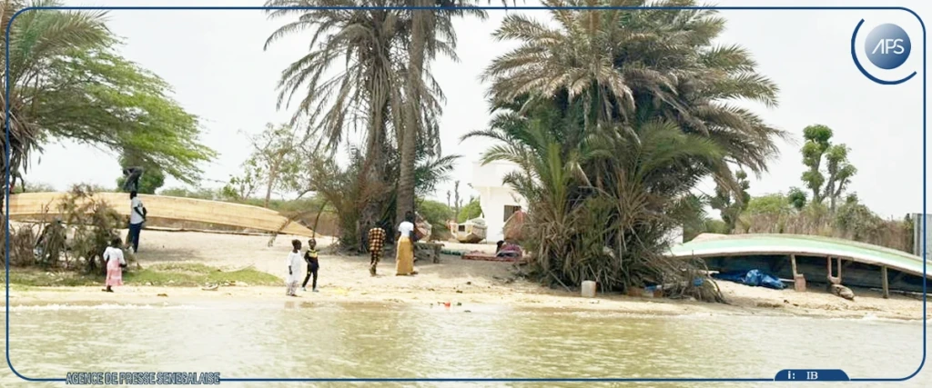 Bopou Thior, au large de Saint-Louis, une île en quête de renouveau