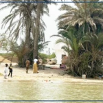 Bopou Thior, au large de Saint-Louis, une île en quête de renouveau