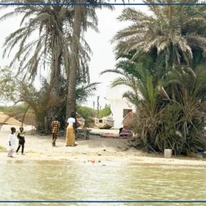 Bopou Thior, au large de Saint-Louis, une île en quête de renouveau
