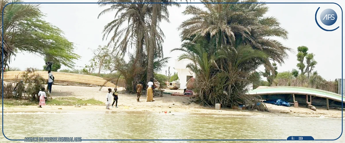 Bopou Thior, au large de Saint-Louis, une île en quête de renouveau