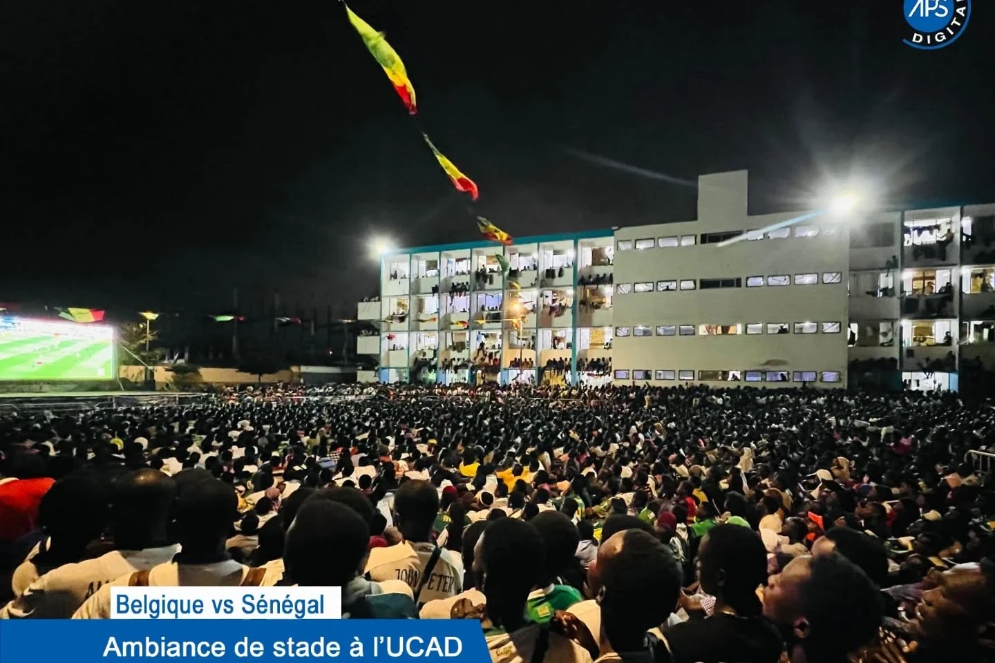 Belgique vs Sénégal : Ambiance de stade à l’UCAD 