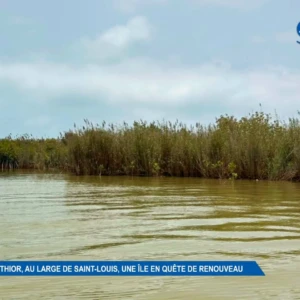 Bopou Thior, au Large de Saint-Louis, une Île en quête de Renouveau 