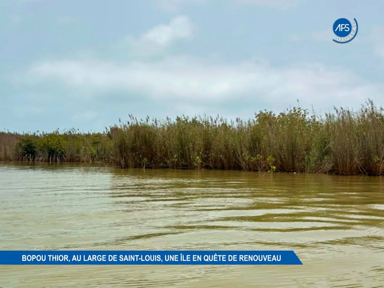 Bopou Thior, au Large de Saint-Louis, une Île en quête de Renouveau 