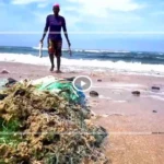 Dakar, entre plages de rêve et eaux contaminées : l’autre visage du littoral