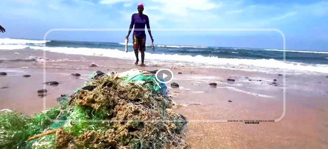 Dakar, entre plages de rêve et eaux contaminées : l’autre visage du littoral