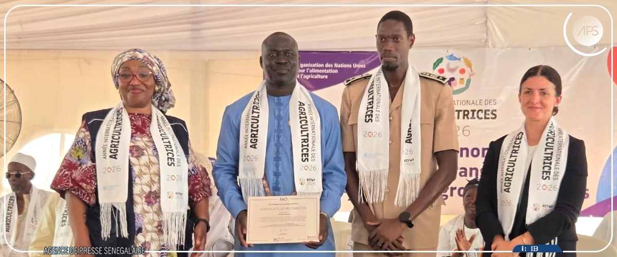 Année internationale des femmes agricultrices : les communes de Notto Diobass, Pambal et Oudalaye honorées par la FAO