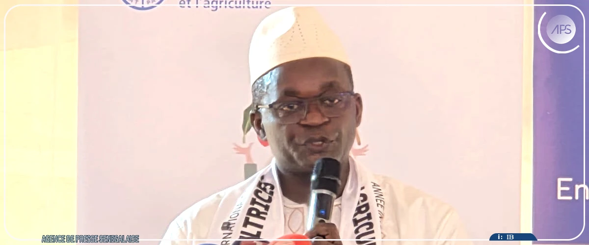 Année internationale des femmes agricultrices : les communes de Notto Diobass, Pambal et Oudalaye honorées par la FAO