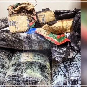 Thiaroye : plus de 300 kilos de chanvre indien saisis, deux suspects arrêtés (gendarmerie)