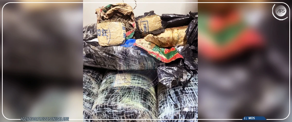 Thiaroye : plus de 300 kilos de chanvre indien saisis, deux suspects arrêtés (gendarmerie)