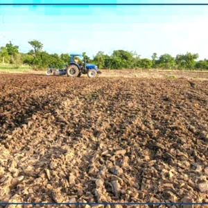 Kédougou : la SODAGRI assure préparer activement la campagne de production agricole, malgré ses faibles moyens