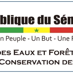 Les feux de brousse ont détruit près de 6 millions de tonnes de fourrage entre 2024-2025, selon la DEFCCS