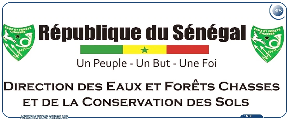 Les feux de brousse ont détruit près de 6 millions de tonnes de fourrage entre 2024-2025, selon la DEFCCS