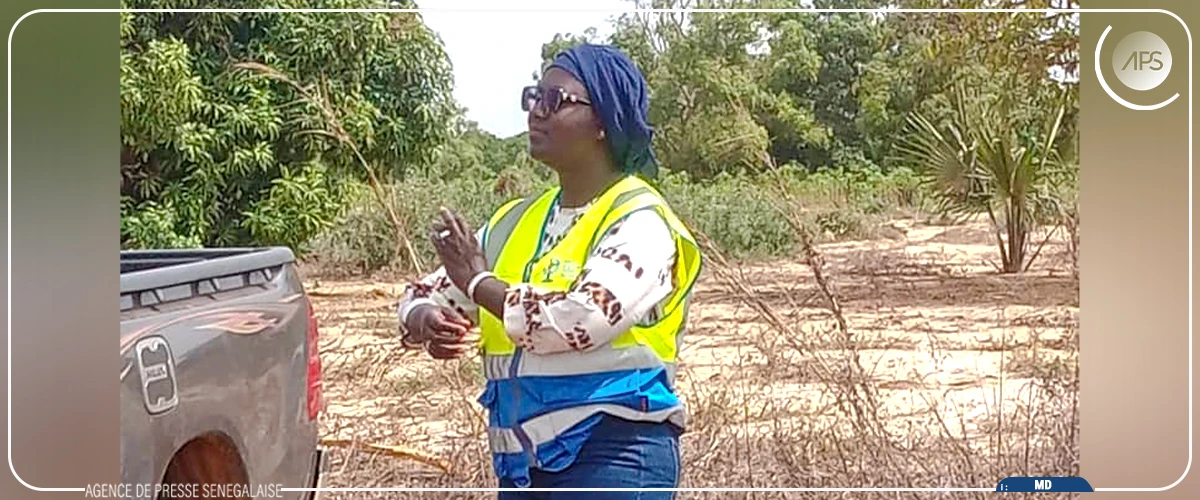 Quatre vingt fermes agricoles équipées par le Parc éolien de Taïba Ndiaye