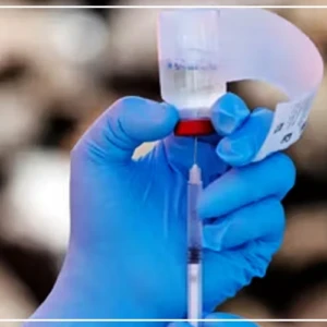 L’OMS lance les essais cliniques d’un traitement préventif du virus Ebola