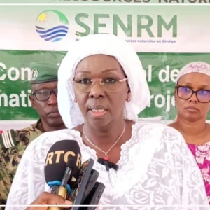 Kédougou : vers la distribution de 40.000 foyers améliorés (coordinatrice)