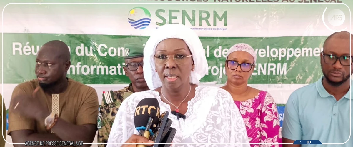 Kédougou : vers la distribution de 40.000 foyers améliorés (coordinatrice)