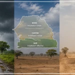 L’ANACIM constate une ‘’installation effective’’ de l’hivernage dans le sud du pays