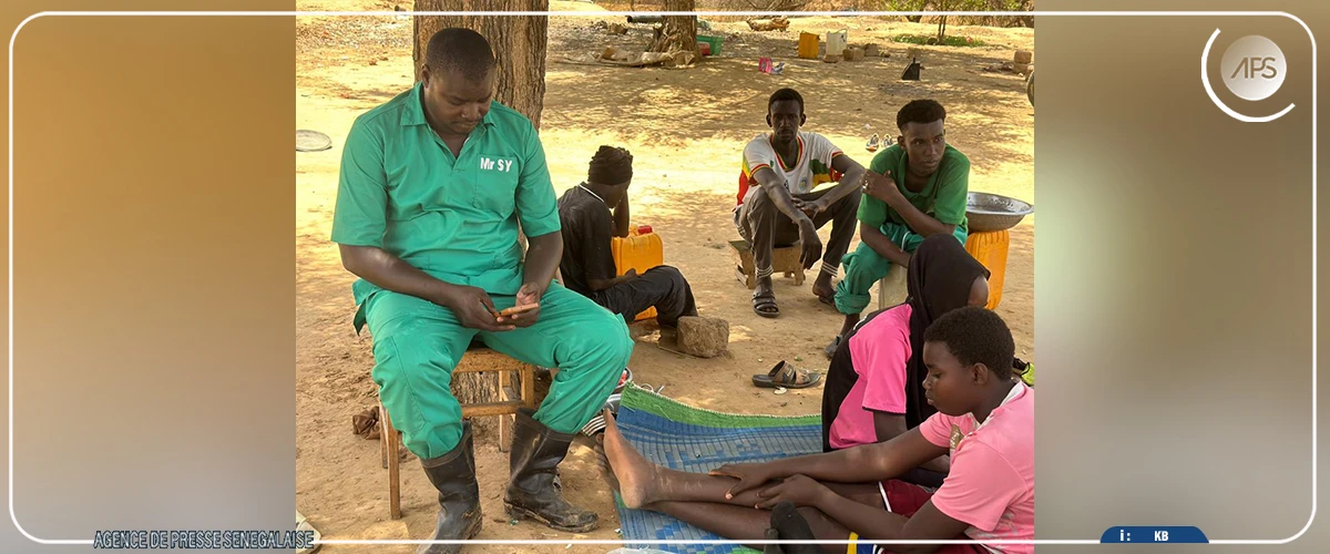 A Gamadji Saaré, dans le Podor, une ferme modèle portée par les ambitions de souveraineté alimentaire