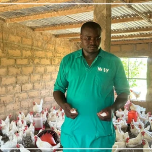 A Gamadji Saaré, dans le Podor, une ferme modèle portée par les ambitions de souveraineté alimentaire