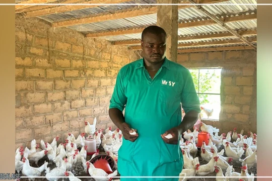 A Gamadji Saaré, dans le Podor, une ferme modèle portée par les ambitions de souveraineté alimentaire