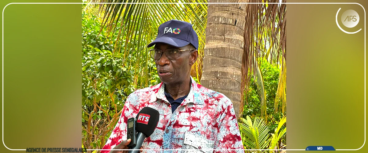 Au Sénégal, la FAO forme des femmes aux métiers agroécologiques