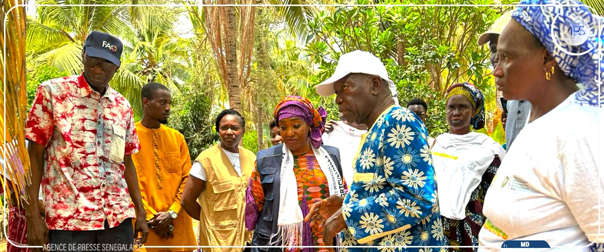 Au Sénégal, la FAO forme des femmes aux métiers agroécologiques