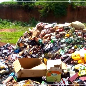 Kolda : 18 tonnes de produits impropres à la consommation saisis et incinérés