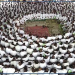 Touba : le dahira Hizbut Tarqiyyah retrace son demi-siècle d'histoire à travers une exposition