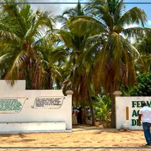 Au Sénégal, la FAO forme des femmes aux métiers agroécologiques