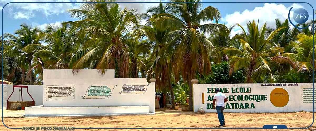 Au Sénégal, la FAO forme des femmes aux métiers agroécologiques