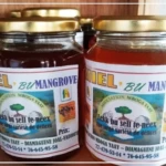 Miel de mangrove, un trésor du delta du Saloum face aux défis du marché international