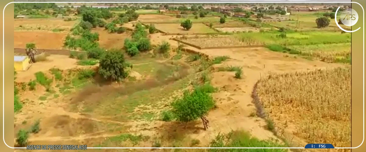 Les mares de Bakel, “oasis dormants” en quête de réhabilitation