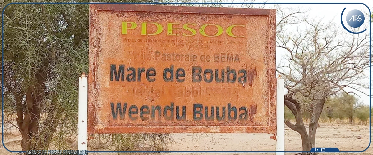 Les mares de Bakel, "oasis dormants" en quête de réhabilitation