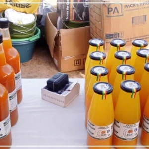 Sédhiou : 20 femmes formées aux techniques de transformation des céréales locales et des fruits en jus