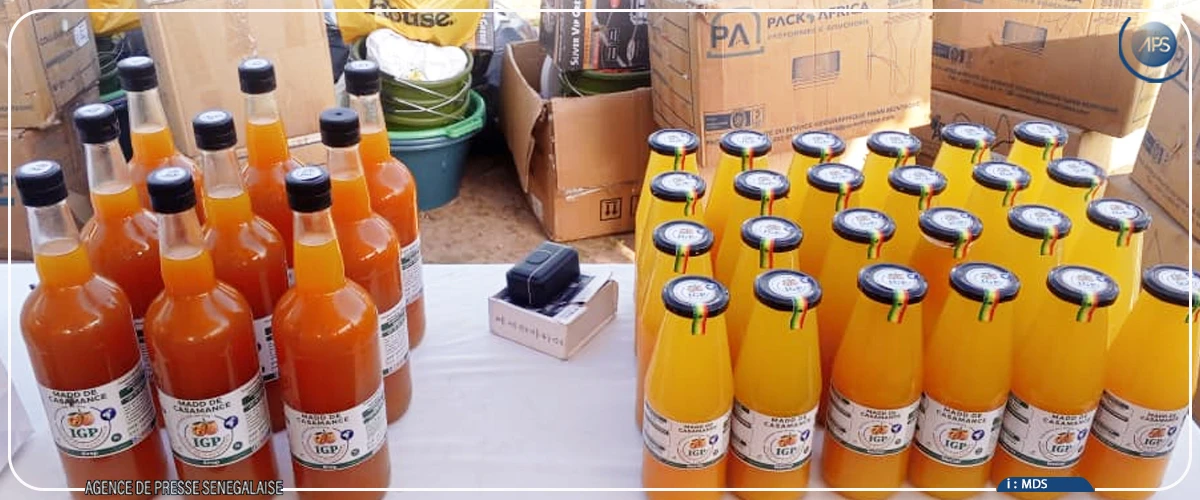 Sédhiou : 20 femmes formées aux techniques de transformation des céréales locales et des fruits en jus