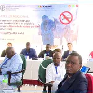 Fièvre de la vallée du Rift : la FAO et quatre pays ouest-africains renforcent leur stratégie de riposte