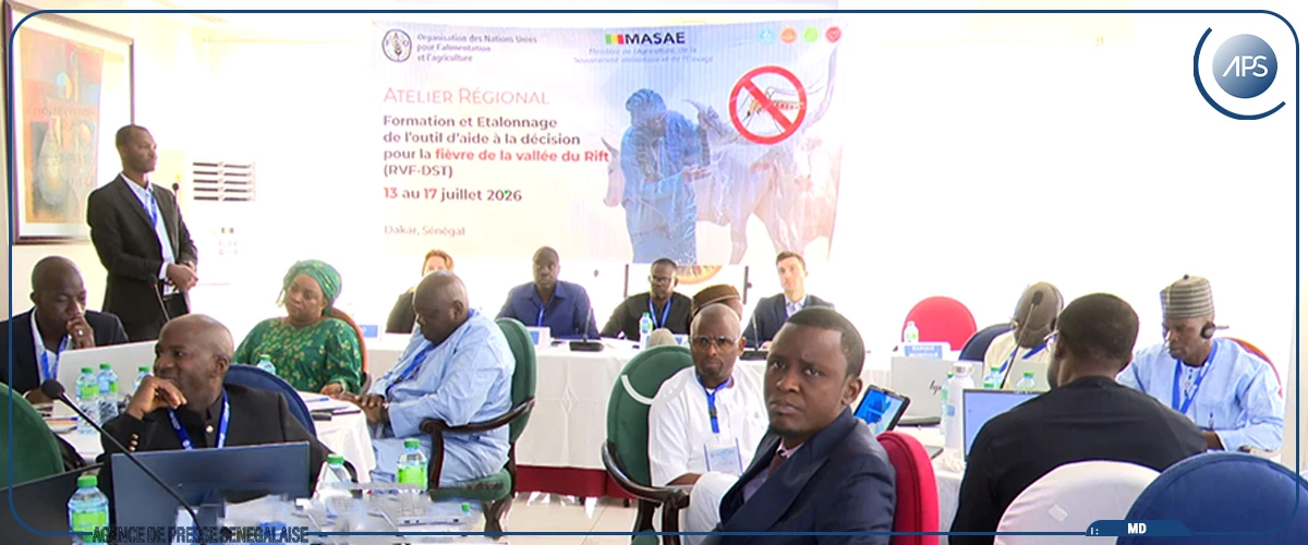 Fièvre de la vallée du Rift : la FAO et quatre pays ouest-africains renforcent leur stratégie de riposte