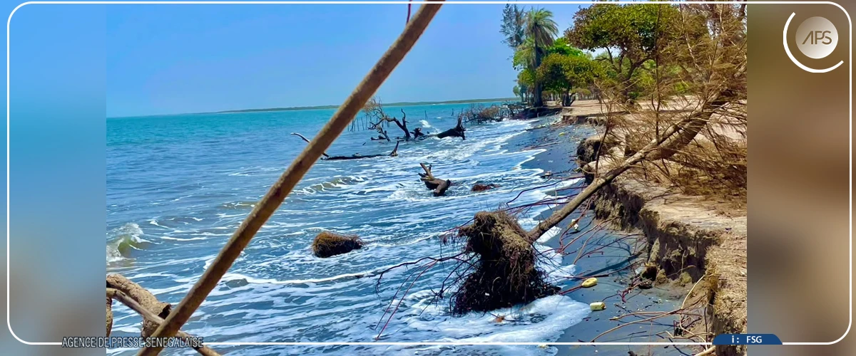 Lamine Ndiaye, une conscience environnementale au service de l'île de Dionewar
