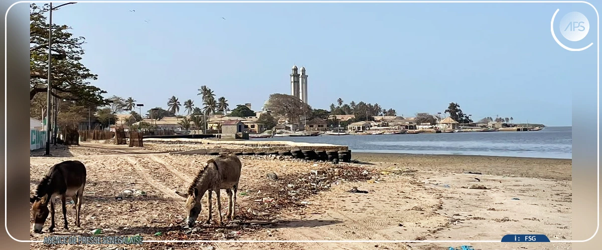 Lamine Ndiaye, une conscience environnementale au service de l'île de Dionewar