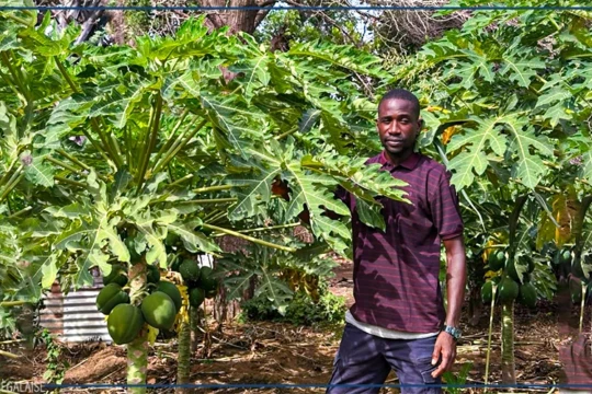 Mouhamed Demba Camara, un pionnier de l'agroécologie à Fimela