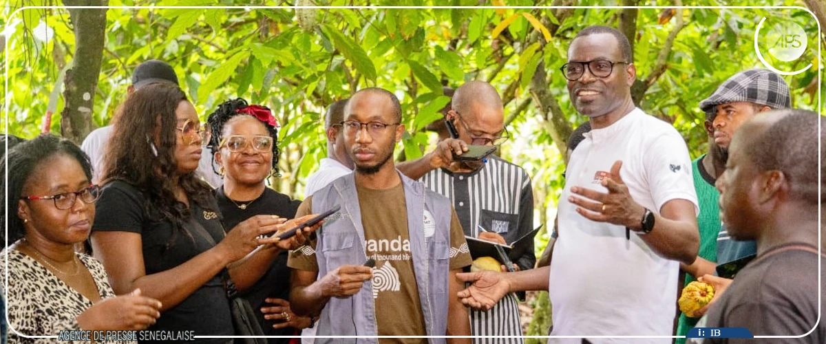 Bringakro, un village ivoirien, se met avec un franc succès à l'agroforesterie