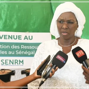 Tambacounda va bénéficier de 60 000 foyers améliorés du SENRM