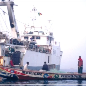 Lutte contre la pêche illicite : un acteur salue les ''avancées encourageantes'' du Sénégal