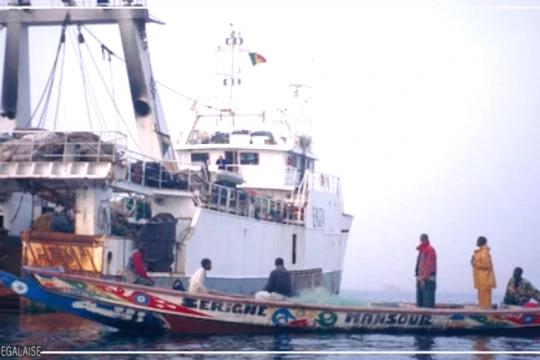 Lutte contre la pêche illicite : un acteur salue les ''avancées encourageantes'' du Sénégal