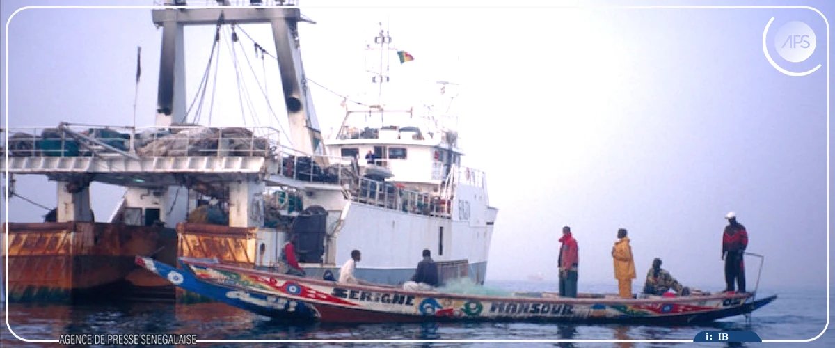Lutte contre la pêche illicite : un acteur salue les ”avancées encourageantes” du Sénégal