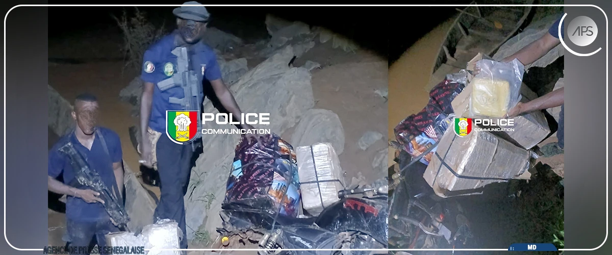 Kédougou : 116 kg de chanvre indien saisis au village aurifère de Yillimalo