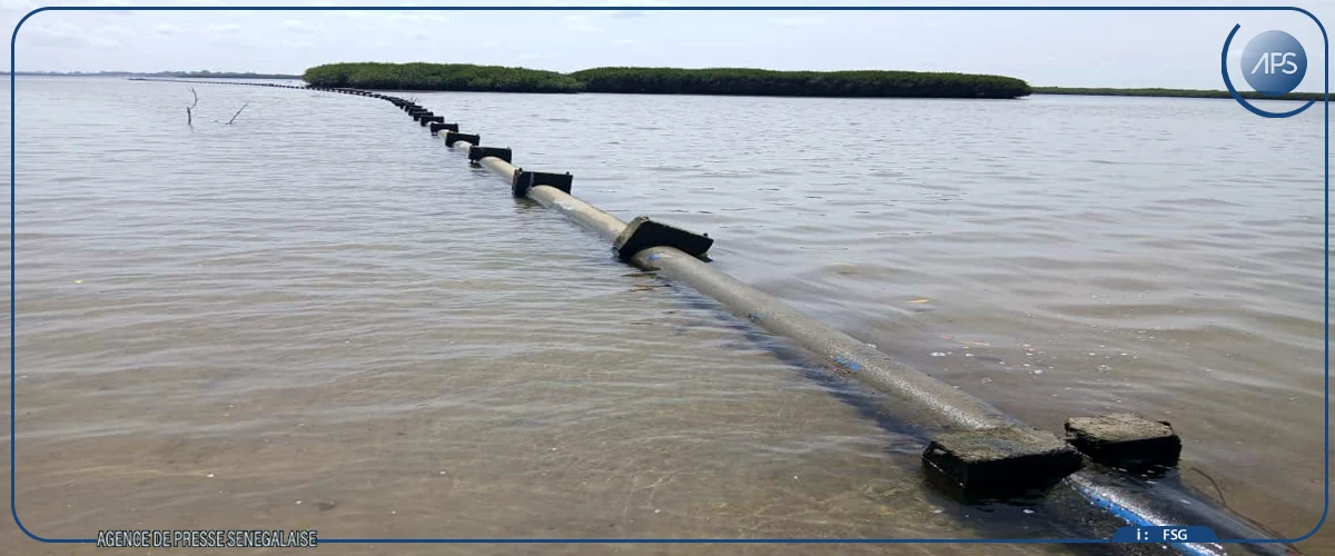 A Falia, la pêche à pied des femmes menacée par la raréfaction des coquillages